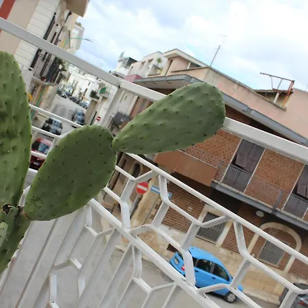 Cole House Apartment Bitetto